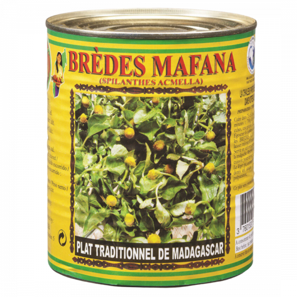 Folha de Jambu 800g Codal – Ingrédient typique de l’Amazonie au goût unique et effet picotant naturel